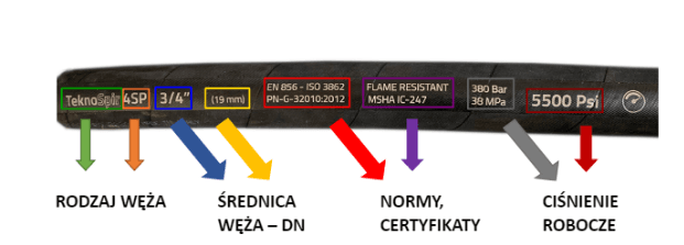 Jakie są najważniejsze cechy węży?